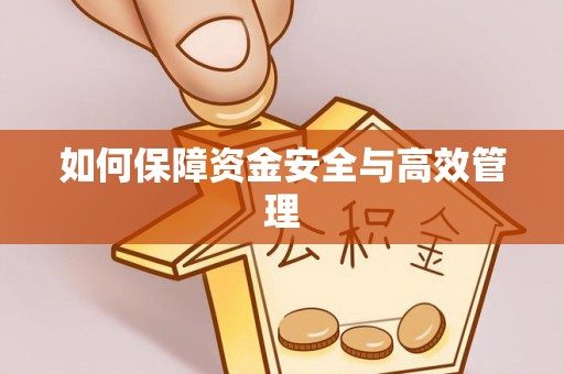 桐柏如何保障资金安全与高效管理