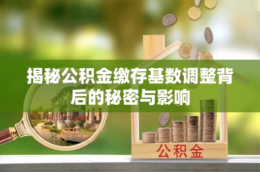 桐柏揭秘公积金缴存基数调整背后的秘密与影响