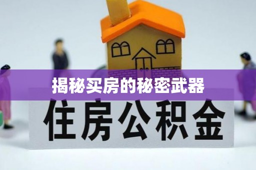 桐柏揭秘买房的秘密武器