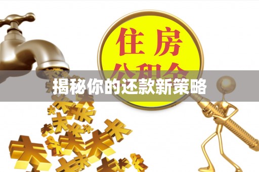 桐柏揭秘你的还款新策略