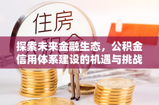 桐柏探索未来金融生态，公积金信用体系建设的机遇与挑战