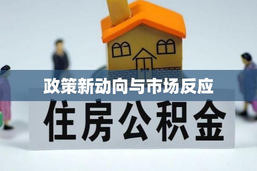桐柏政策新动向与市场反应