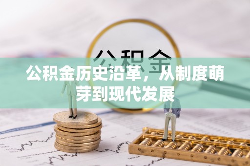桐柏公积金历史沿革，从制度萌芽到现代发展