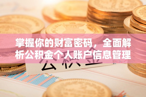 桐柏掌握你的财富密码，全面解析公积金个人账户信息管理与优化