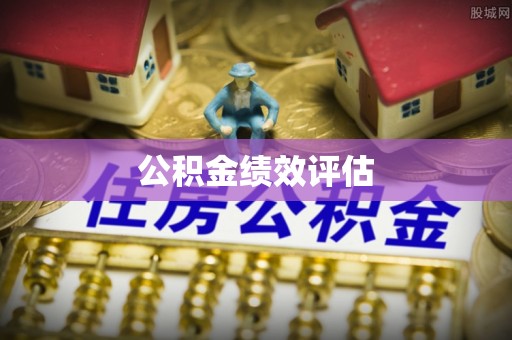 桐柏公积金绩效评估
