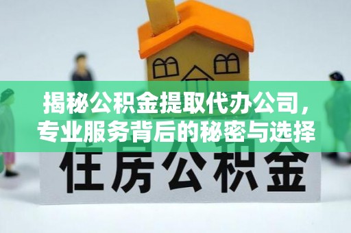 桐柏揭秘公积金提取代办公司，专业服务背后的秘密与选择指南