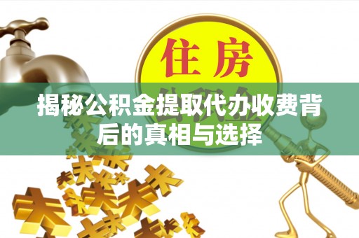 桐柏揭秘公积金提取代办收费背后的真相与选择