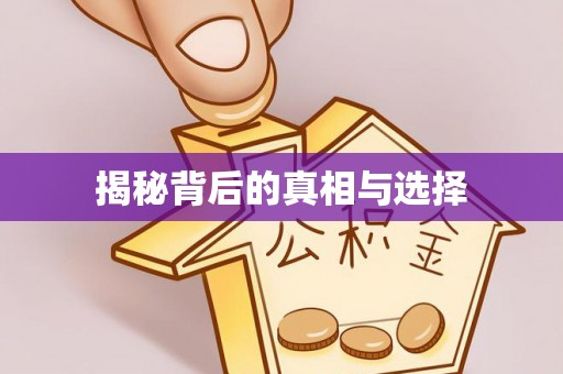 桐柏揭秘背后的真相与选择