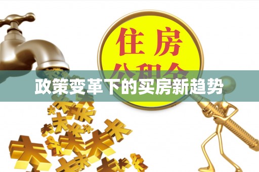桐柏政策变革下的买房新趋势