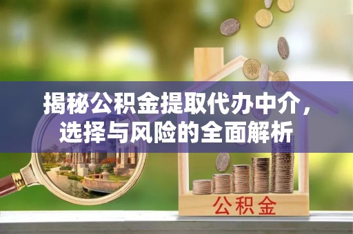 桐柏揭秘公积金提取代办中介，选择与风险的全面解析