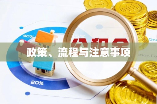 桐柏政策、流程与注意事项