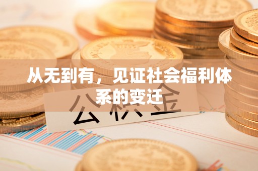 桐柏从无到有，见证社会福利体系的变迁