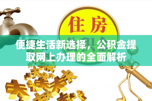桐柏便捷生活新选择，公积金提取网上办理的全面解析