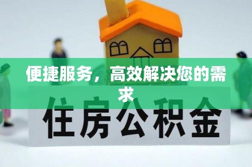 桐柏便捷服务，高效解决您的需求