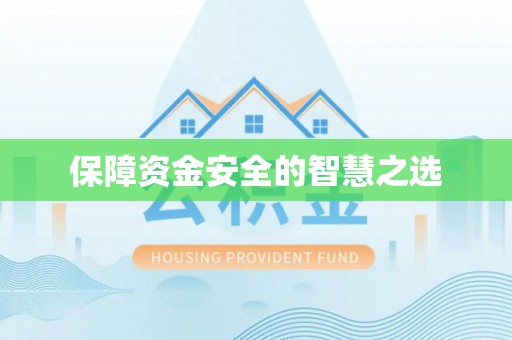 桐柏保障资金安全的智慧之选