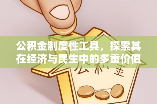 桐柏公积金制度性工具，探索其在经济与民生中的多重价值