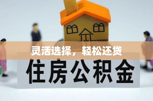 桐柏灵活选择，轻松还贷