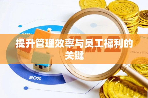 桐柏提升管理效率与员工福利的关键
