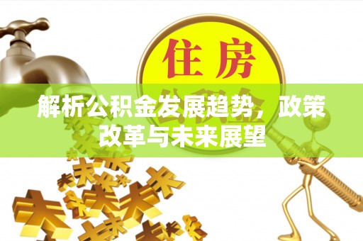 桐柏解析公积金发展趋势，政策改革与未来展望
