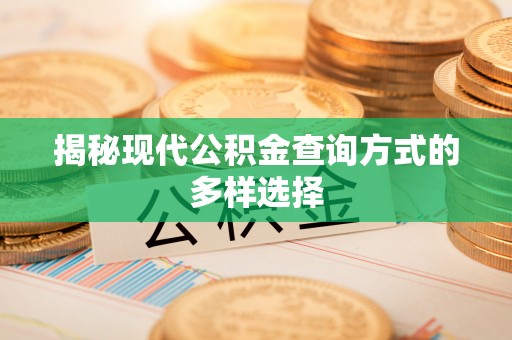 桐柏揭秘现代公积金查询方式的多样选择