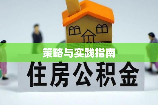 桐柏策略与实践指南