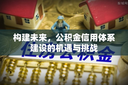 桐柏构建未来，公积金信用体系建设的机遇与挑战