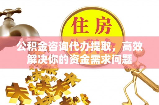 桐柏公积金咨询代办提取，高效解决你的资金需求问题