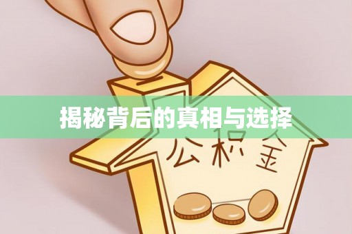 桐柏揭秘背后的真相与选择