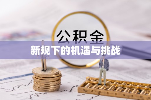 桐柏新规下的机遇与挑战