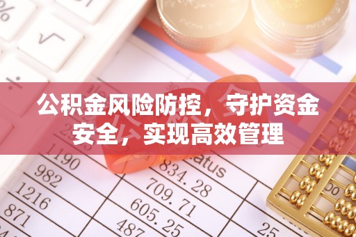 桐柏公积金风险防控，守护资金安全，实现高效管理