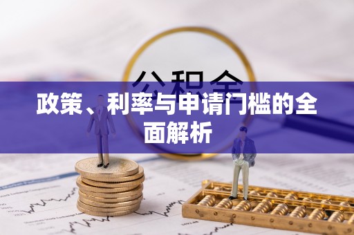 桐柏政策、利率与申请门槛的全面解析