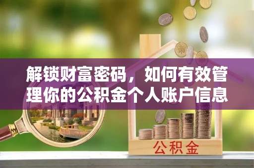桐柏解锁财富密码，如何有效管理你的公积金个人账户信息