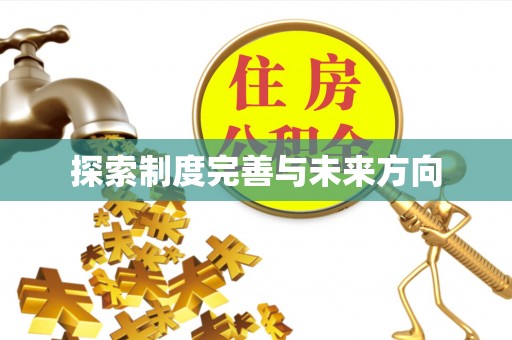 桐柏探索制度完善与未来方向