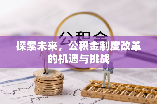桐柏探索未来，公积金制度改革的机遇与挑战