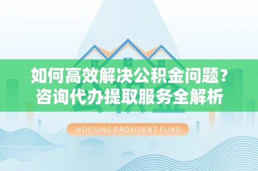 桐柏如何高效解决公积金问题？咨询代办提取服务全解析