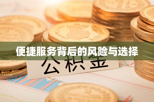 桐柏便捷服务背后的风险与选择