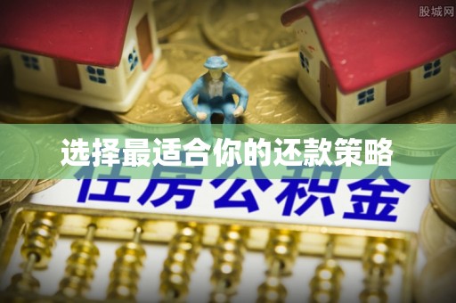 桐柏选择最适合你的还款策略