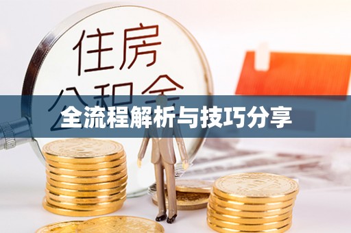 桐柏全流程解析与技巧分享